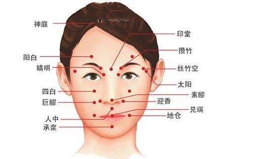 人体面部穴位图美容部位图，按摩承泣穴有助于去黑眼圈