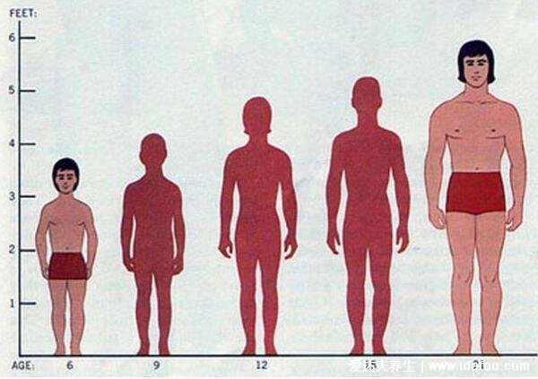 古代一尺等于多少米厘米换算，七尺男儿是多高(1米7左右)