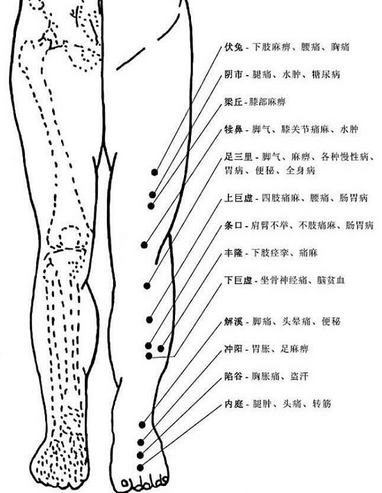 腿部经络图6条的走向及穴位图，四肢经络口诀更好记忆