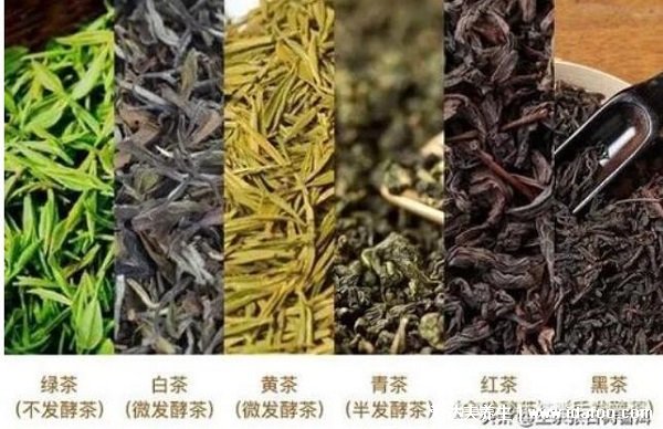 普洱茶属于什么茶什么季节喝，存在争议一年四季可饮用(功效不同) 