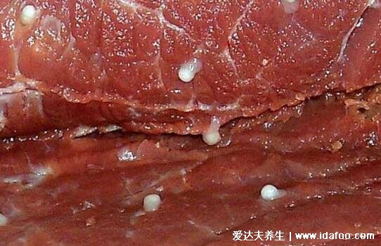 米猪肉图片鉴别方法，有米粒大乳白色水疱(彻底煮熟后能吃)