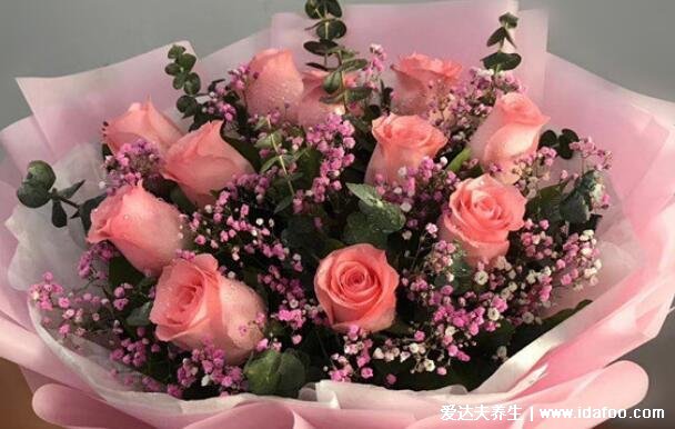 粉玫瑰代表什么意思，为什么不能随便送人(铭记于心的初恋)