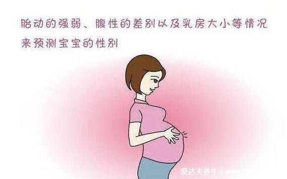 孕晚期男孩女孩差别就出现了，看肚子形状/胎动等7个表现