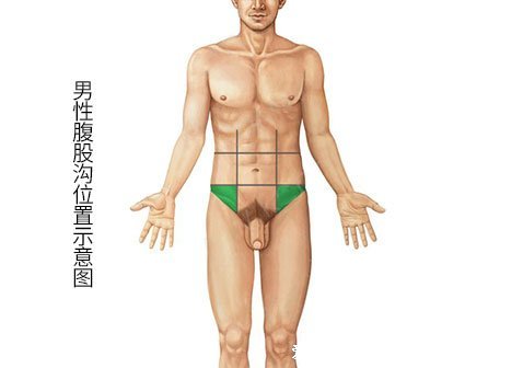 腹股沟在哪个位置图片，人体会阴部的两侧(下腹部大腿根的内侧)