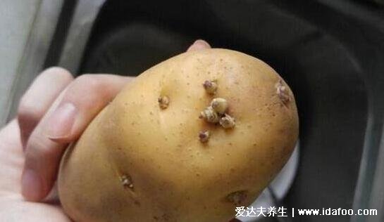 土豆怎么保存不发绿不长牙，4个土豆最简单的保存方法(小苏打)