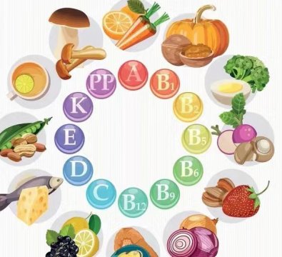 日常饮食中都有哪些食物富含B族维生素呢