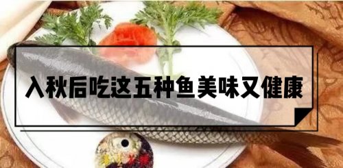 适合秋季吃的五种鱼 美味营养又健康