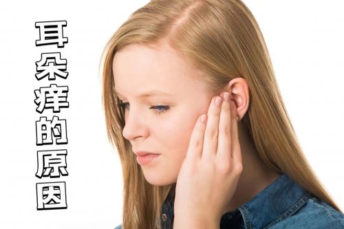 耳朵经常痒可能是这3个原因千万别忽视