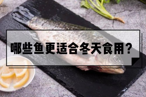 4种适合冬天吃的鱼营养超高价格便宜