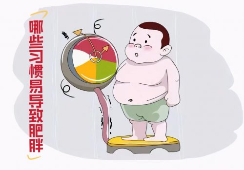 生活中7个行为易导致肥胖一定要尽早避免
