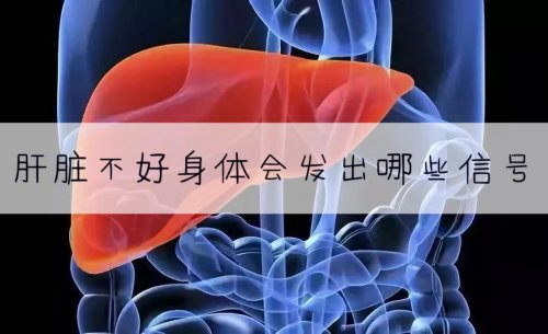 身体会发出这5个信号可能是肝脏出现了问题