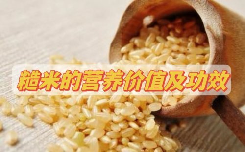 糙米是什么米有哪些营养价值及功效