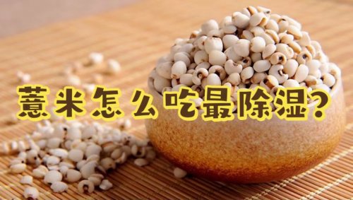 薏米具有清热利湿补益养生的功效怎么吃去湿气效果更好