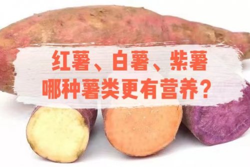 红薯紫薯白薯这三种薯类哪种更营养
