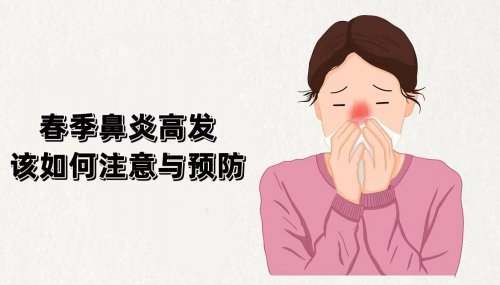 春季鼻炎高发期的注意事项与预防措施