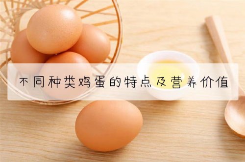 不同种类鸡蛋的营养价值与食用指南