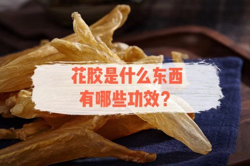 中华传统美食花胶究竟是什么东西有哪些养生功效