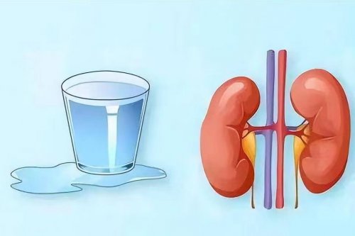 喝水后出现4种异常或是肾脏在求救